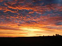 image_1016795.jpg