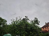 Olešná