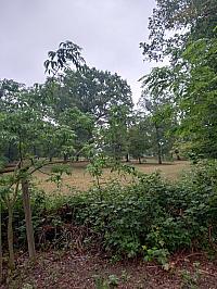 image_1016855.jpg