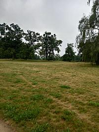 image_1016993.jpg