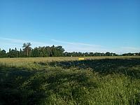 Kopřivnice, Vlčovice