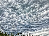 image_1017286_1.jpg