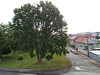 image_1017359.jpg