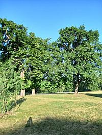 image_1017460.jpg