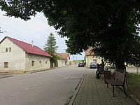 Třibřichy