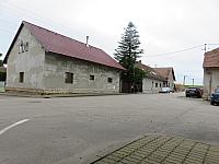 Třibřichy