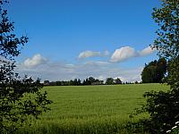 image_1017659.jpg