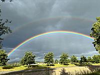 image_1017673.jpg