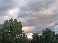 image_1017683.jpg