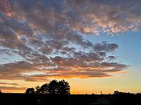 image_1017687.jpg