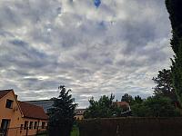Olešná