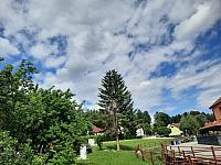 Olešná