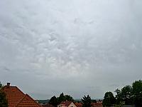 image_1017968.jpg