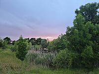 image_1017975.jpg