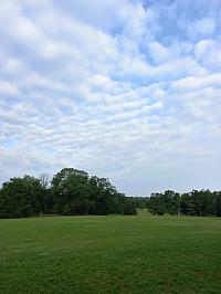 image_1018118.jpg