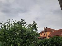 Olešná