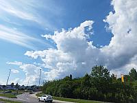 image_1018264.jpg
