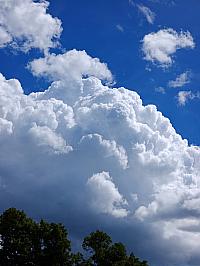 image_1018273.jpg