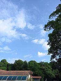 image_1018280.jpg