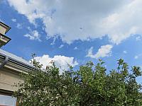 image_1018537.jpg