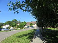image_1018539.jpg