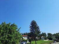 Olešná