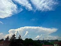 image_1018645.jpg