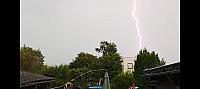 image_1018829.jpg