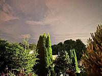 image_1018839.jpg