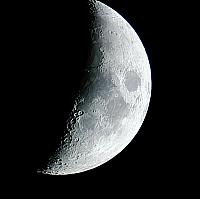 image_1018841.jpg
