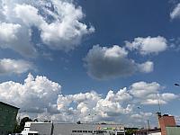 image_1019197.jpg