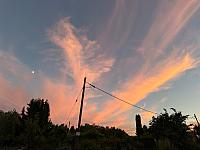 image_1019448.jpg