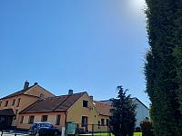 Olešná