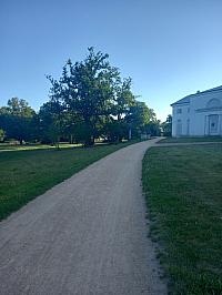 Svatý Mikuláš