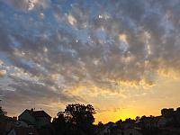 image_1019945.jpg