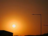 image_1019947.jpg