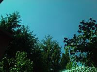 image_1020091.jpg