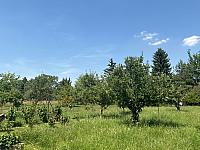 image_1020092.jpg