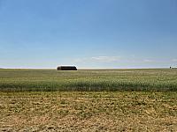 image_1020094.jpg