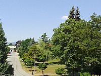 Grygov