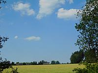 image_1020165.jpg