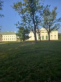image_1020167.jpg