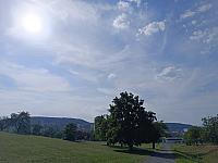 image_1020169.jpg