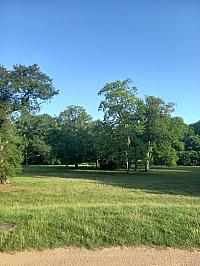 image_1020174.jpg