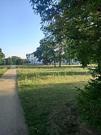 image_1020190.jpg