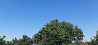 image_1020399.jpg