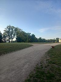 image_1020401.jpg