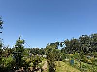 image_1020652.jpg