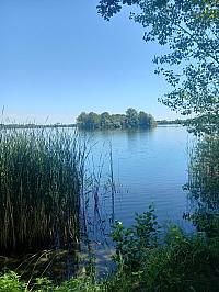 image_1020654.jpg