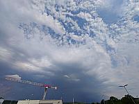 image_1020655.jpg